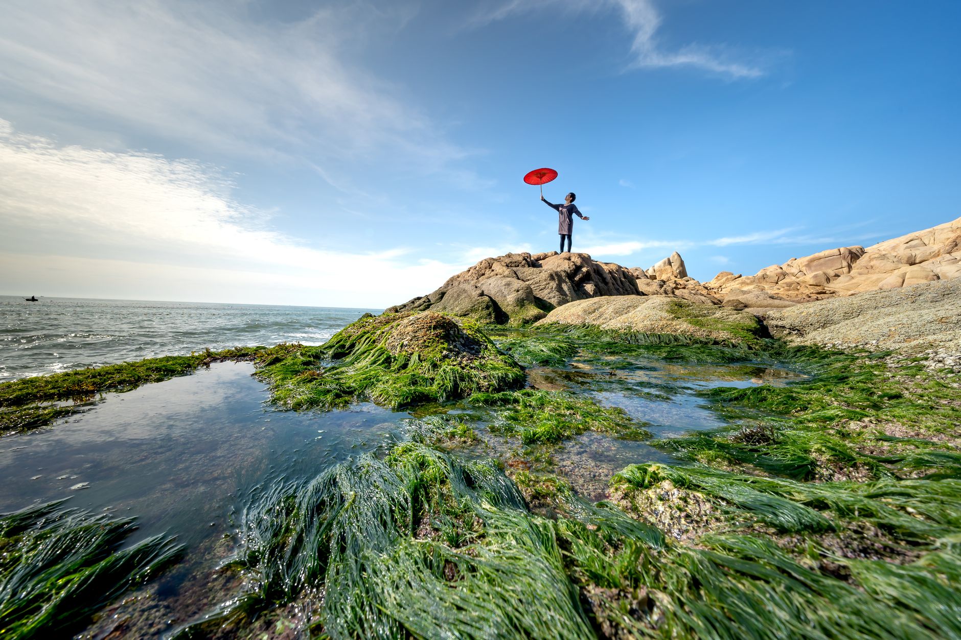 A person holding a red umbrella stands on a rocky coast by the sea, surrounded by algae and blue skies.